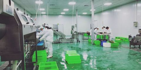 電商時代下，涇陽傳統蔬菜企業的變革與創新之路