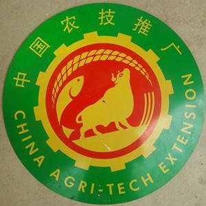 深耕田野，科技興農——記靈山縣沙坪鎮農業技術推廣站服務隊